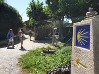 Wanderung auf dem Jakobsweg von Arzua nach Arca (28)