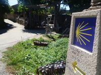 Wanderung auf dem Jakobsweg von Arzua nach Arca (29)