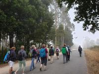 Wanderung auf dem Jakobsweg nach Santiago de Compostela  (4)