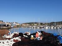 Ausflug mit Wanderung auf der Insel Ons im Nationalpark Illas Atlanticas (2)