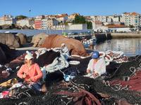 Ausflug mit Wanderung auf der Insel Ons im Nationalpark Illas Atlanticas (3)
