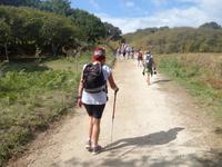 Ausflug mit Wanderung auf der Insel Ons im Nationalpark Illas Atlanticas (15)