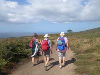 Ausflug mit Wanderung auf der Insel Ons im Nationalpark Illas Atlanticas (28)