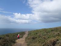 Ausflug mit Wanderung auf der Insel Ons im Nationalpark Illas Atlanticas (29)