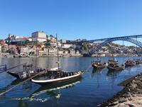 Rückflug ab Porto zurück nach Deutschland (1)