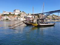 Rückflug ab Porto zurück nach Deutschland (11)