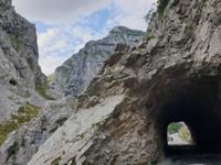 Wanderung auf der Ruta del Cares oder Cares Schlucht im Nationalpark Picos de Europa (7)