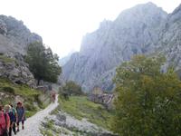 Wanderung auf der Ruta del Cares oder Cares Schlucht im Nationalpark Picos de Europa (21)