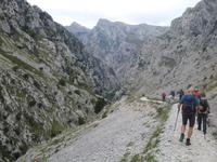 Wanderung auf der Ruta del Cares oder Cares Schlucht im Nationalpark Picos de Europa (24)