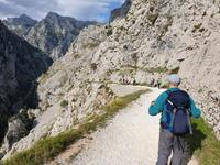 Wanderung auf der Ruta del Cares oder Cares Schlucht im Nationalpark Picos de Europa (25)