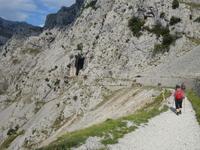 Wanderung auf der Ruta del Cares oder Cares Schlucht im Nationalpark Picos de Europa (26)