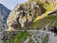 Wanderung auf der Ruta del Cares oder Cares Schlucht im Nationalpark Picos de Europa (28)