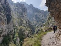 Wanderung auf der Ruta del Cares oder Cares Schlucht im Nationalpark Picos de Europa (45)