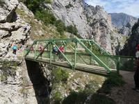 Wanderung auf der Ruta del Cares oder Cares Schlucht im Nationalpark Picos de Europa (48)