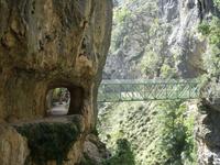 Wanderung auf der Ruta del Cares oder Cares Schlucht im Nationalpark Picos de Europa (52)
