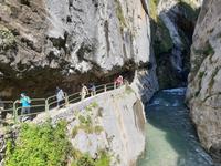 Wanderung auf der Ruta del Cares oder Cares Schlucht im Nationalpark Picos de Europa (59)