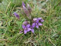 Wanderung im Nationalpark Picos de Europa - den spanischen Alpen (51)