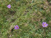 Wanderung im Nationalpark Picos de Europa - den spanischen Alpen (58)