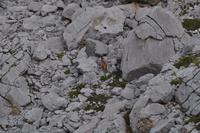 Wanderung im Nationalpark Picos de Europa - den spanischen Alpen (59)