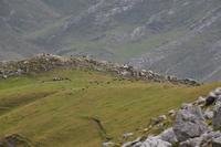 Wanderung im Nationalpark Picos de Europa - den spanischen Alpen (69)