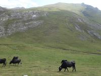 Wanderung im Nationalpark Picos de Europa - den spanischen Alpen (73)