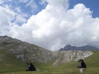 Wanderung im Nationalpark Picos de Europa - den spanischen Alpen (76)