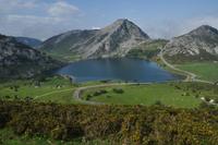 Wanderung bei den Covadonga-Seen im National Park Picos de Europa in Asturien  (31)
