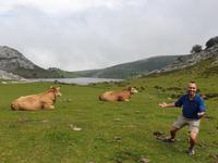 Wanderung bei den Covadonga-Seen im National Park Picos de Europa in Asturien  (37)