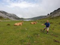 Wanderung bei den Covadonga-Seen im National Park Picos de Europa in Asturien  (38)