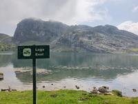 Wanderung bei den Covadonga-Seen im National Park Picos de Europa in Asturien  (40)