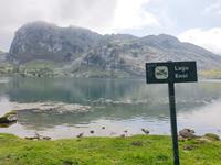 Wanderung bei den Covadonga-Seen im National Park Picos de Europa in Asturien  (41)