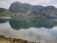 Wanderung bei den Covadonga-Seen im National Park Picos de Europa in Asturien  (42)