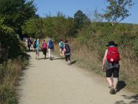 Wanderung auf dem Jakobsweg (4)
