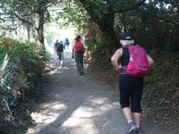 Wanderung auf dem Jakobsweg (5)