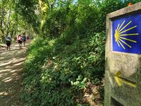 Wanderung auf dem Jakobsweg (8)