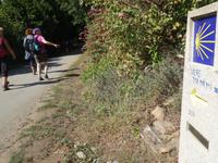 Wanderung auf dem Jakobsweg (9)