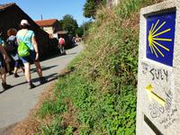 Wanderung auf dem Jakobsweg (10)