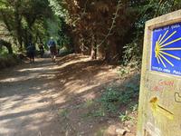 Wanderung auf dem Jakobsweg (11)