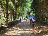 Wanderung auf dem Jakobsweg (12)