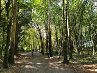 Wanderung auf dem Jakobsweg (13)