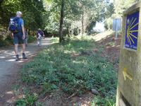 Wanderung auf dem Jakobsweg (14)