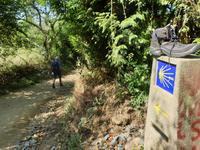 Wanderung auf dem Jakobsweg (15)