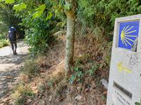 Wanderung auf dem Jakobsweg (19)