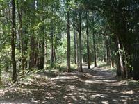 Wanderung auf dem Jakobsweg (21)