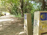 Wanderung auf dem Jakobsweg (22)