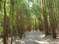 Wanderung auf dem Jakobsweg (25)