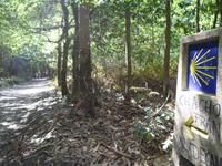 Wanderung auf dem Jakobsweg (26)