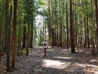 Wanderung auf dem Jakobsweg (27)