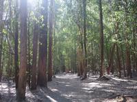 Wanderung auf dem Jakobsweg (28)