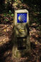 Wanderung auf dem Jakobsweg (29)